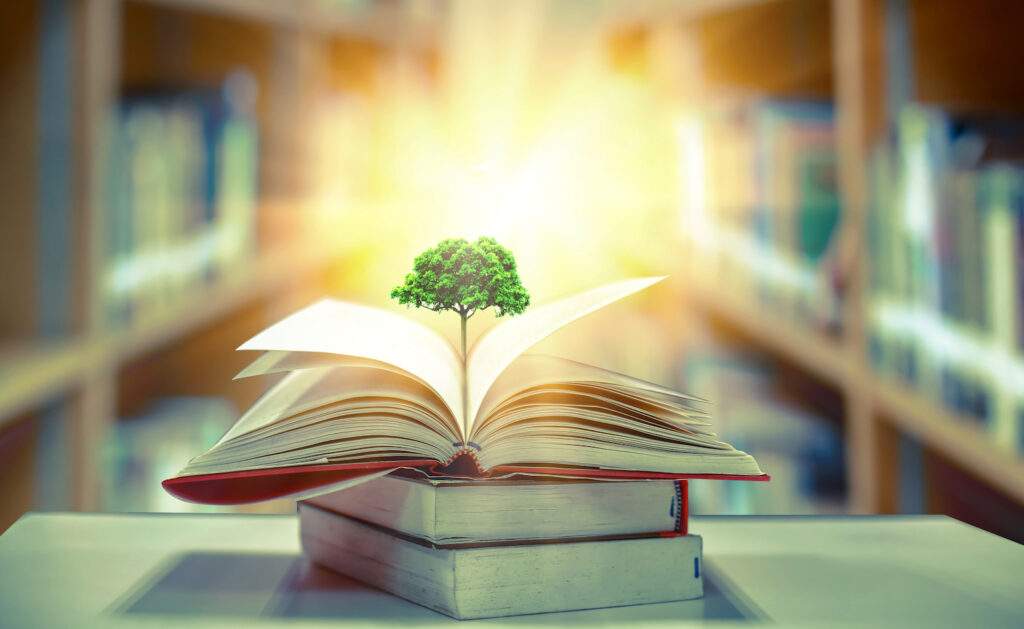 There is a grey table top at the bottom of the photo with 3 thick books piled in top of ecah other in the centre. The top one is open and from the centre fold of the middle pages is a small oak tree. There is bright light behind the tree top and in the background is the blurred image of shelves of books on the left and right vanishing into the light.
