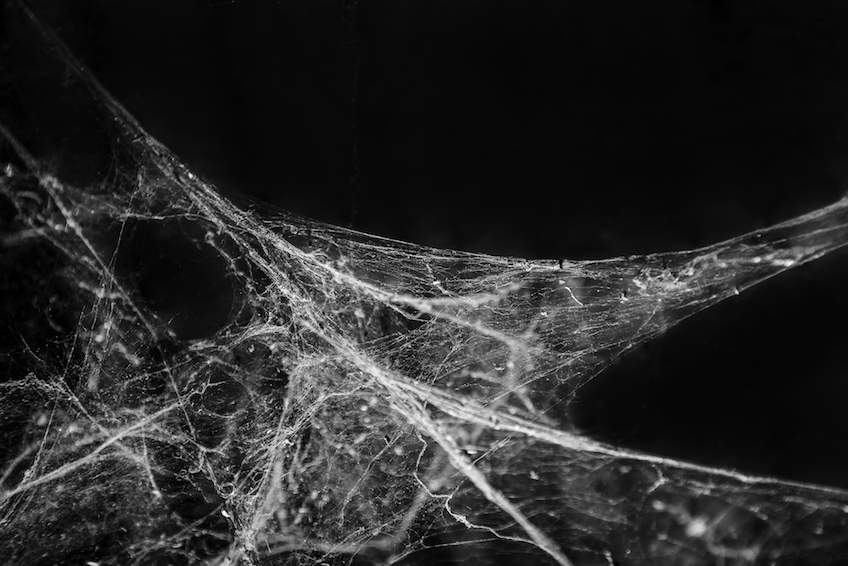 Close up of a tangled spiders web on a black background to represent fascia connective tissue
