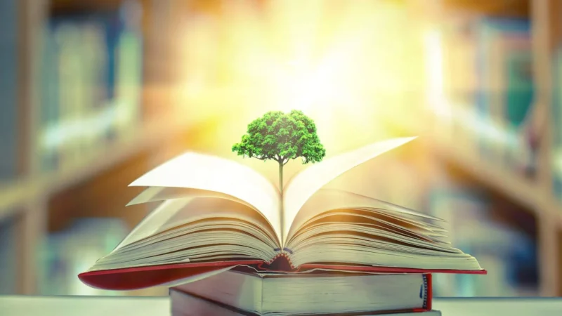 There is a grey table top at the bottom of the photo with 3 thick books piled in top of ecah other in the centre. The top one is open and from the centre fold of the middle pages is a small oak tree. There is bright light behind the tree top and in the background is the blurred image of shelves of books on the left and right vanishing into the light.