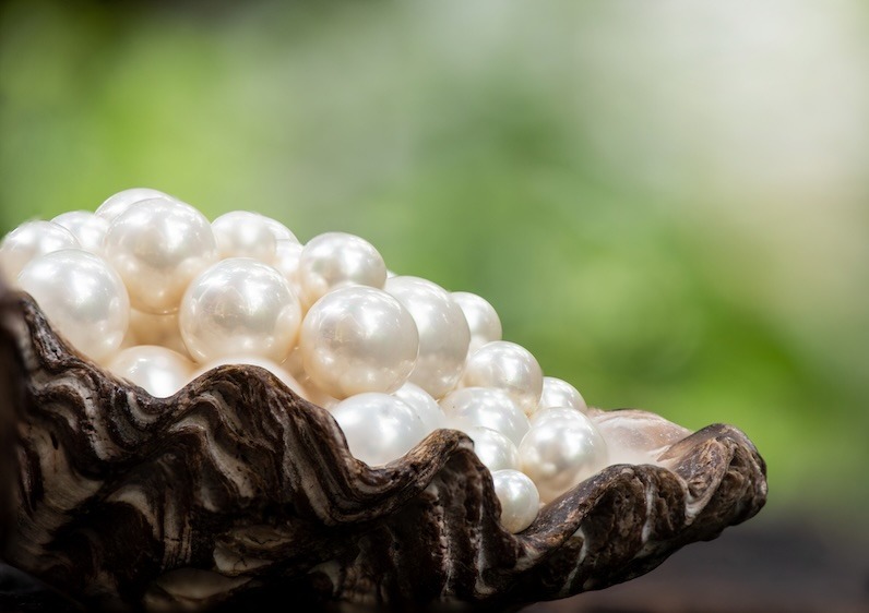 Finding the pearls of wisdom from your subconscious represented by a photo of an oyster shell full with a pile of shiny pearls. The background is blured green.
