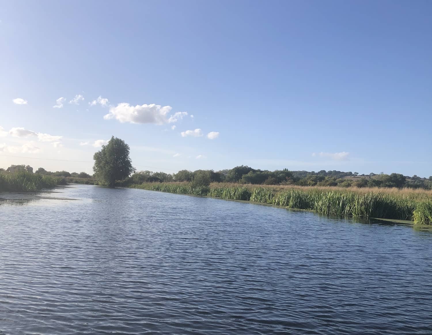 Photo for a river on a sunny day to represent going from frustration to flow in life